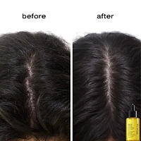Huile de soin nourrissante et préshampoing Essence Absolue pour cuir chevelu et cheveux