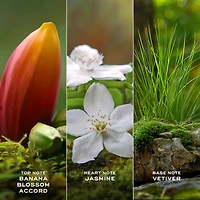 Daisy Wild Eau de Parfum with Banana Blossom Accord, Jasmine & Vetiver