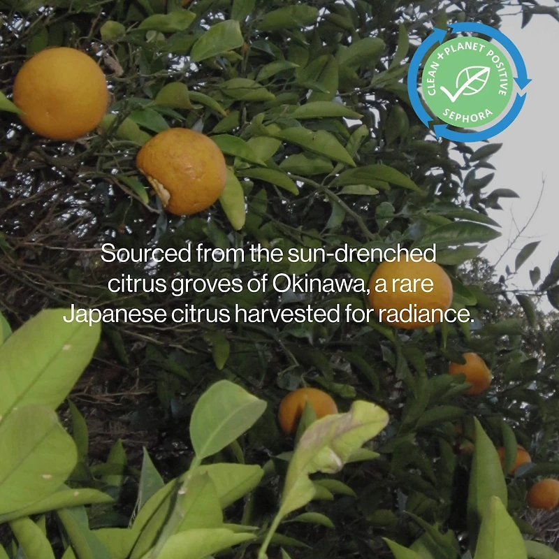 Citrus Glow Dual Vitamin C + Hyaluronic Acid Brightening Serum