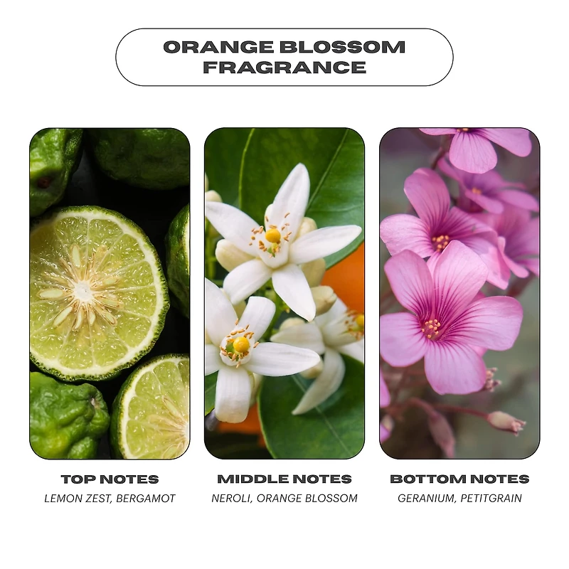 Featherweight Hydrating Body Gloss Oil with Squalane