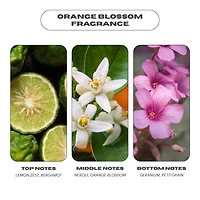 Featherweight Hydrating Body Gloss Oil with Squalane