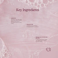 Cocoon Cleanse Solid Body Serum Cleanser with Shea Butter