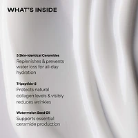 RESIST Barrier Repair Advanced Moisturizer with Ceramides