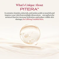 PITERA™ First Experience Kit