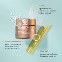Ectoin Overnight Rescue Deep Repair Night Moisturizer + Squalane