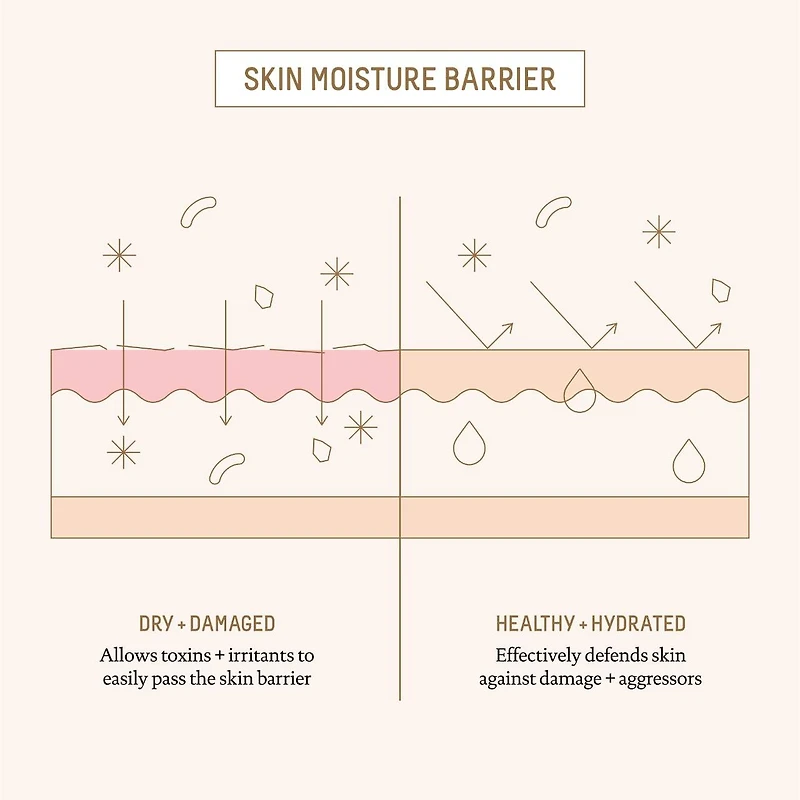 Ectoin Overnight Rescue Deep Repair Night Moisturizer + Squalane