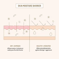 Ectoin Overnight Rescue Deep Repair Night Moisturizer + Squalane
