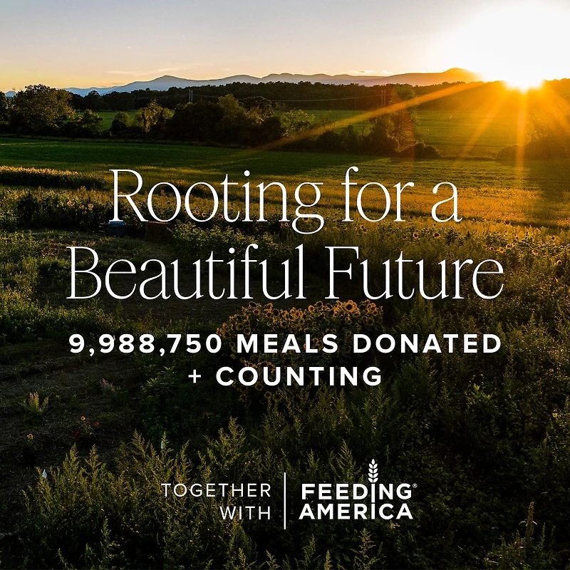 Lip Smoothie Vitamin C + Peptide Balm