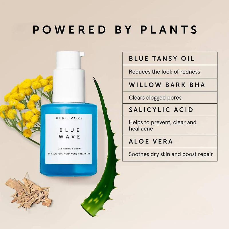 Blue Wave 2% Salicylic Acid Acne Treatment