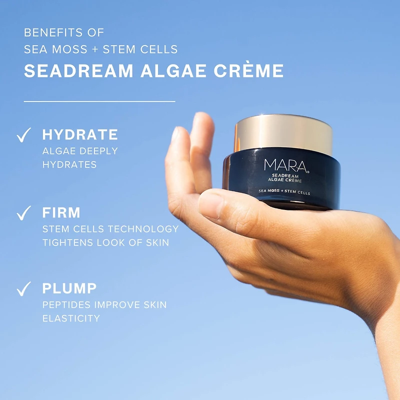SeaDream Algae Creme Moisturizer for Firming & Tightening with Sea Moss + Peptides