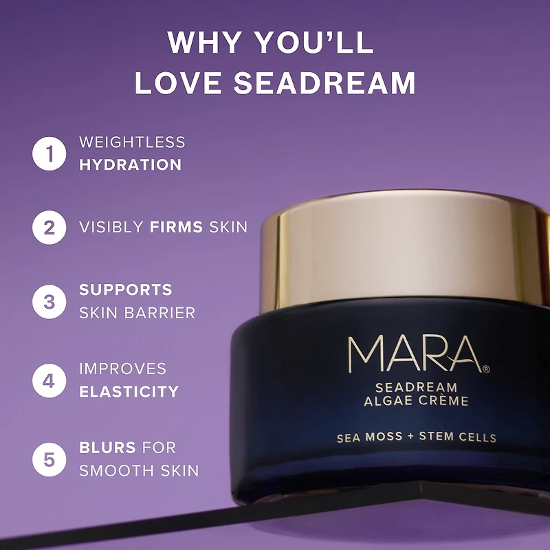 SeaDream Algae Creme Moisturizer for Firming & Tightening with Sea Moss + Peptides