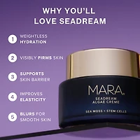 SeaDream Algae Creme Moisturizer for Firming & Tightening with Sea Moss + Peptides