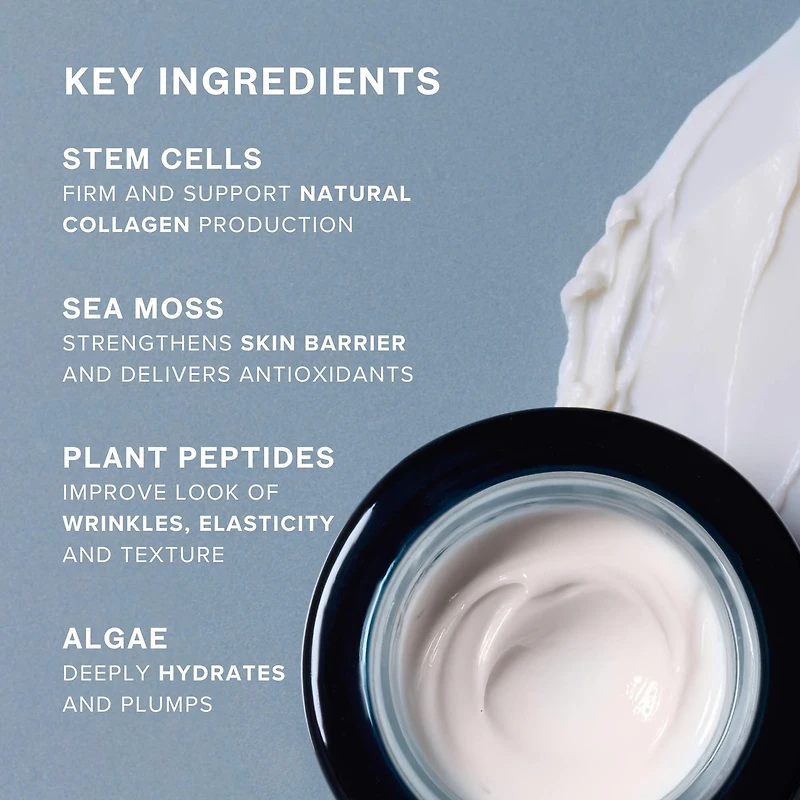 SeaDream Algae Creme Moisturizer for Firming & Tightening with Sea Moss + Peptides