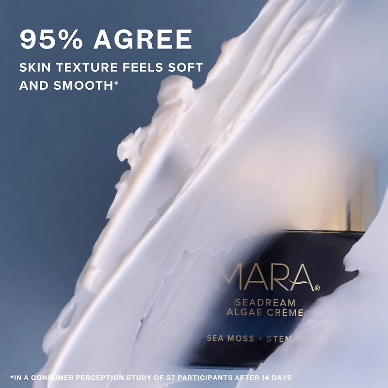 SeaDream Algae Creme Moisturizer for Firming & Tightening with Sea Moss + Peptides