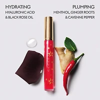 Hydrating Plumping Lip Gloss