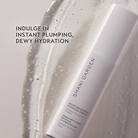 Moisture Boost Plumping Serum