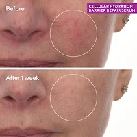 Sérum Cellular Hydratation Repair Cream
