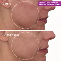 Crème Cellular Hydratation Repair Cream