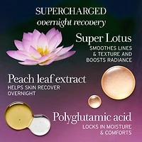 Minihydratant de nuit anti-âge Lotus 