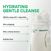 Sulfate-Free Green Tea Amino Acid Cleansing Foam