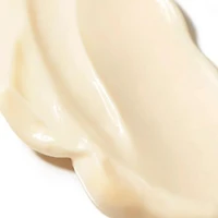 Brazilian Bum Visibly Firming Refillable Body Cream with Caffeine-Rich Guaranà