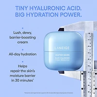 Crème hydratante avec acide hyaluronique Water Bank Blue pour la réparation de barrière d’hydratation