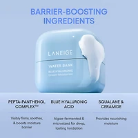 Water Bank Blue Hyaluronic Cream Moisturizer for Moisture Barrier Repair