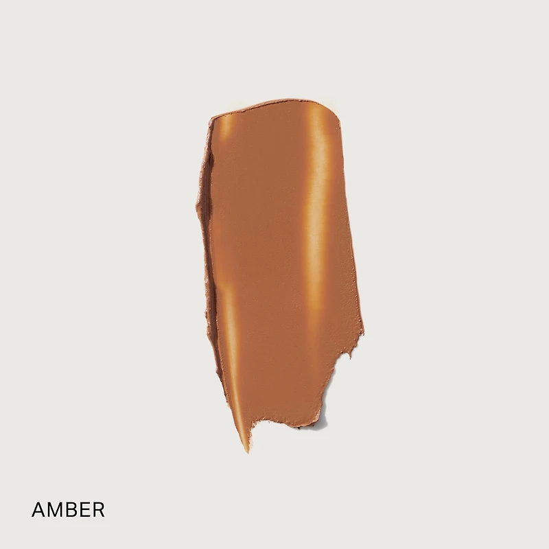 The Minimalist Perfecting Complexion Foundation and Concealer Stick