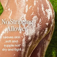 Moisturizing Butter Cream Body Wash - Non-Stripping with Shea Butter, Ceramides and Niacinamide