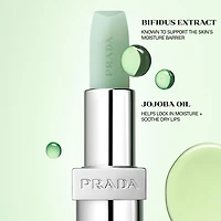 Hydrating Lip Balm with Jojoba Oil
