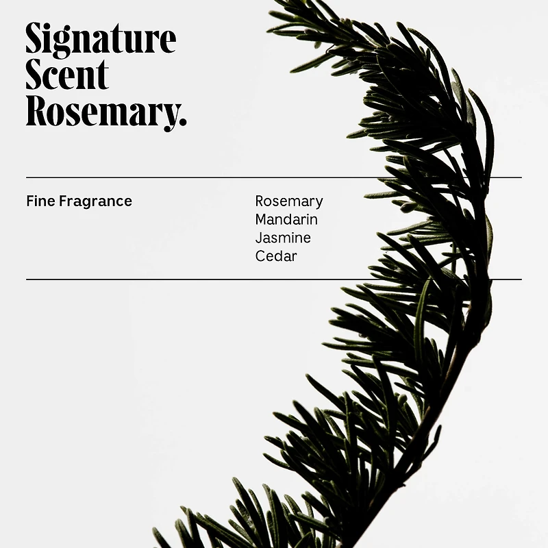 Rosemary Conditioner For Thinning Hair