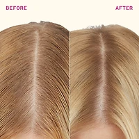 Perk Up Plus Extended Clean Dry Shampoo