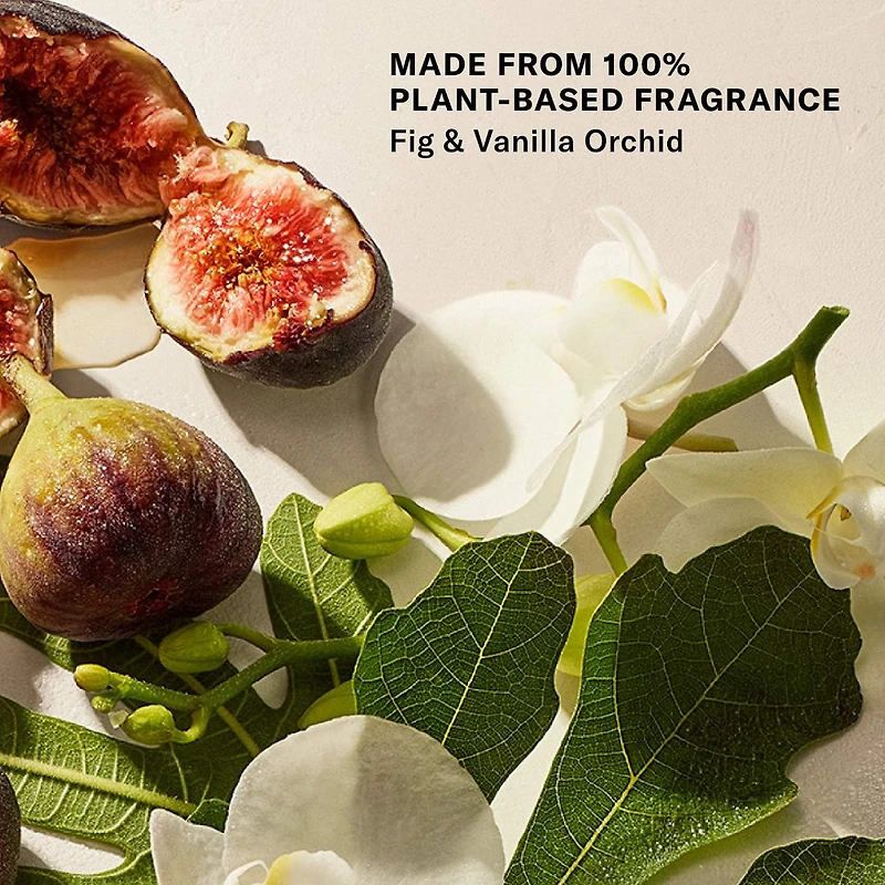 Bohemian Fig - Argan Oil + Sugar Balm Refillable Exfoliating Body Scrub Jar