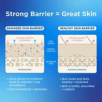 Barrier Buddies: Light Weights Hydration Set for Combination + Oily Skin