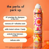 Shampoing sec sans talc Perk Up