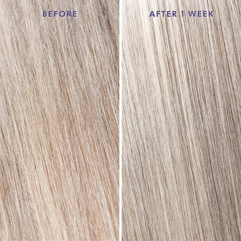 Mini Moroccanoil Treatment Purple Hair Oil for Blonde Hair