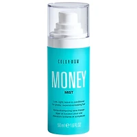 Money Mist Leave Conditioner