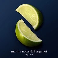 Acqua di Giò Profondo Parfum