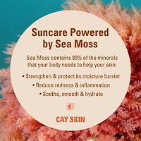 Isle Invisible Sunstick SPF 35