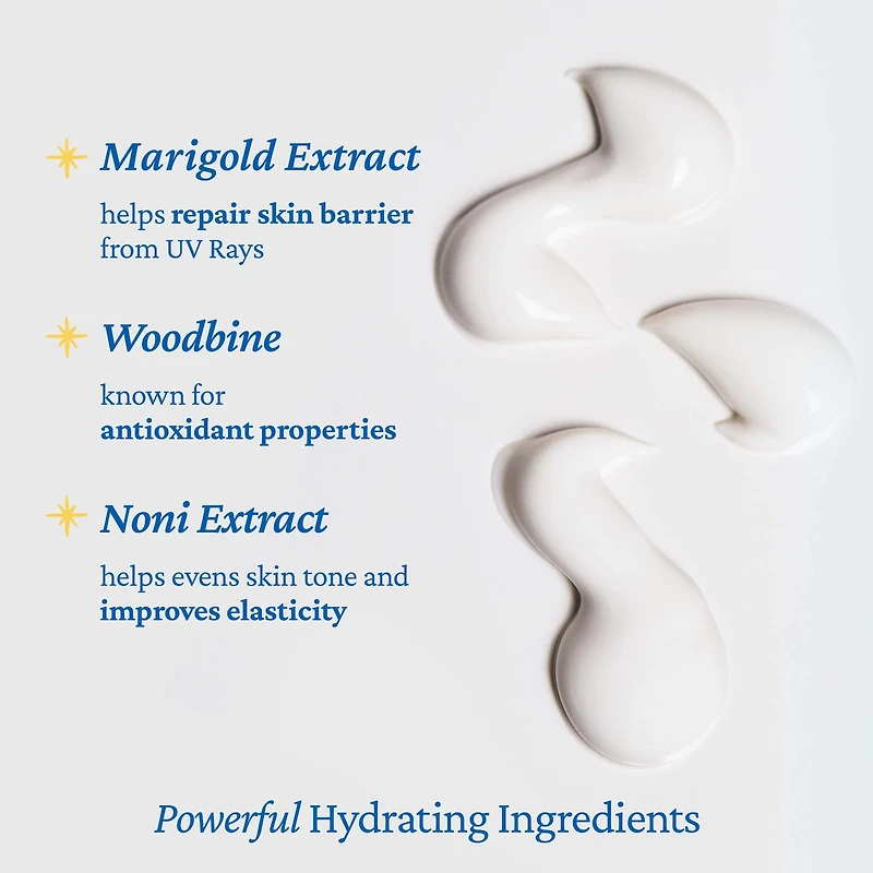 The True Cream Aqua Bomb SPF 45 Korean Moisturizer Face Sunscreen