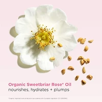 Baume hydratant repulpant en huile avec peptides