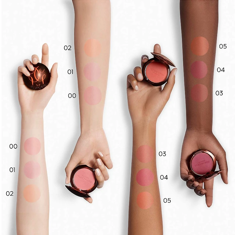 Fard à joues en poudre Terracotta Healthy Glow