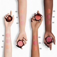 Fard à joues en poudre Terracotta Healthy Glow