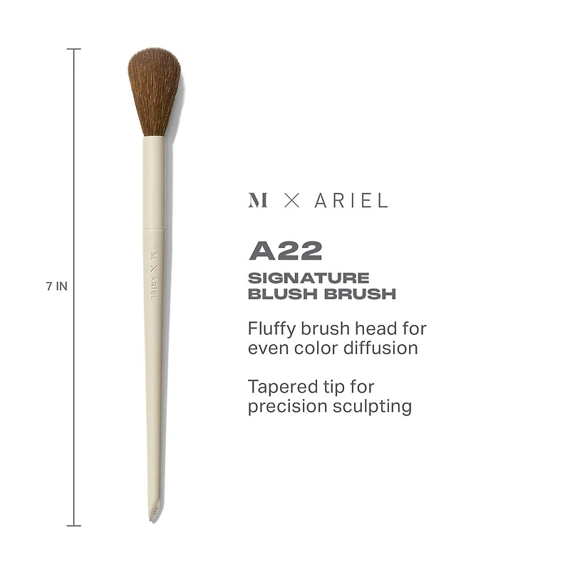 Pinceau fard à joues Signature Morphe X Ariel A22