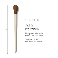 Pinceau fard à joues Signature Morphe X Ariel A22