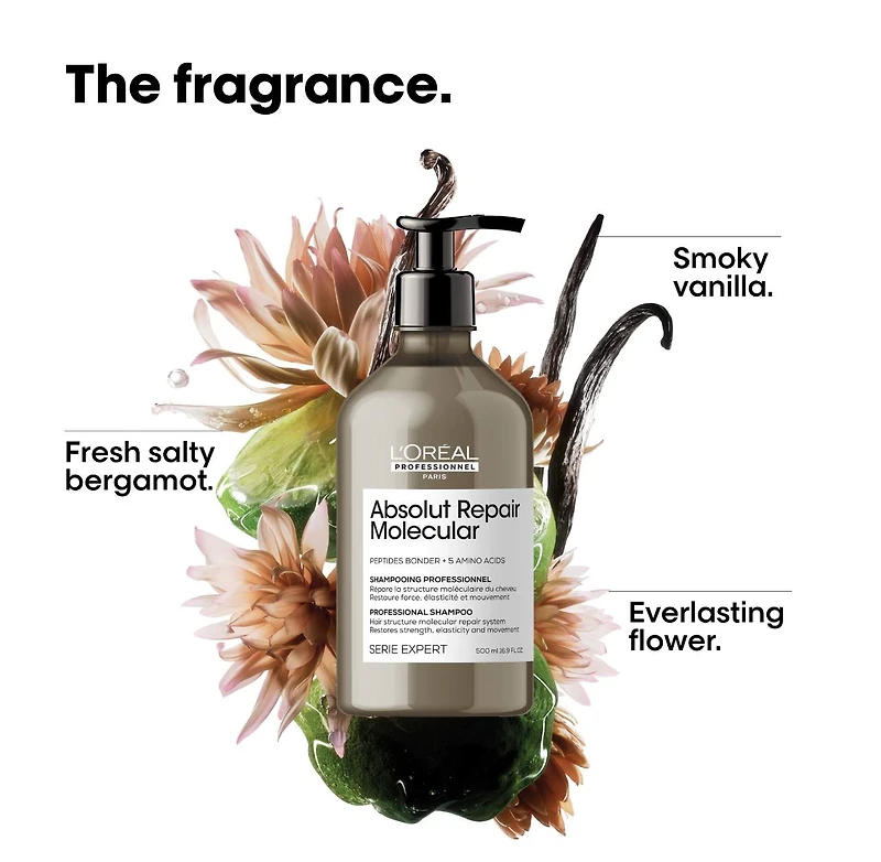 Absolut Repair Molecular Shampoo for Damaged Hair