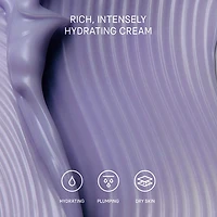 The Dewy Skin Cream Hydrating & Firming Refillable Moisturizer