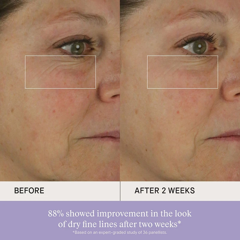 The Dewy Skin Cream Hydrating & Firming Refillable Moisturizer