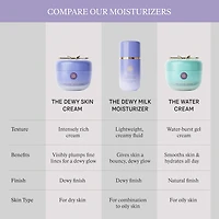 The Dewy Skin Cream Hydrating & Firming Refillable Moisturizer