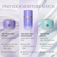 The Dewy Skin Cream Plumping & Hydrating Refillable Moisturizer